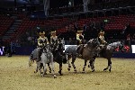 Quadrille - 00672